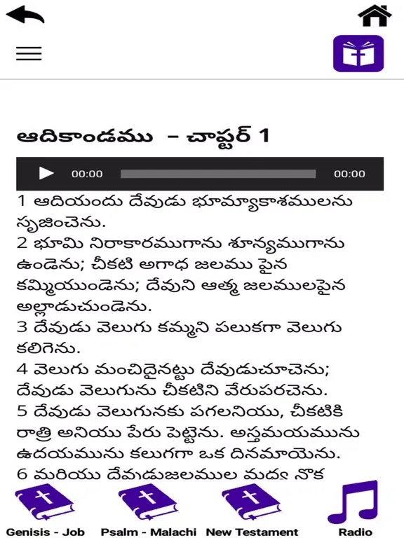 Captures d'écran de Telugu Audio Bible iPad 