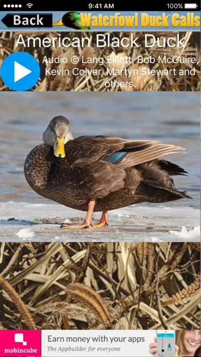 Waterfowl Duck Calls Screenshots