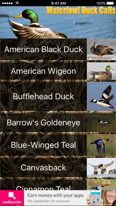 Waterfowl Duck Calls Screenshots