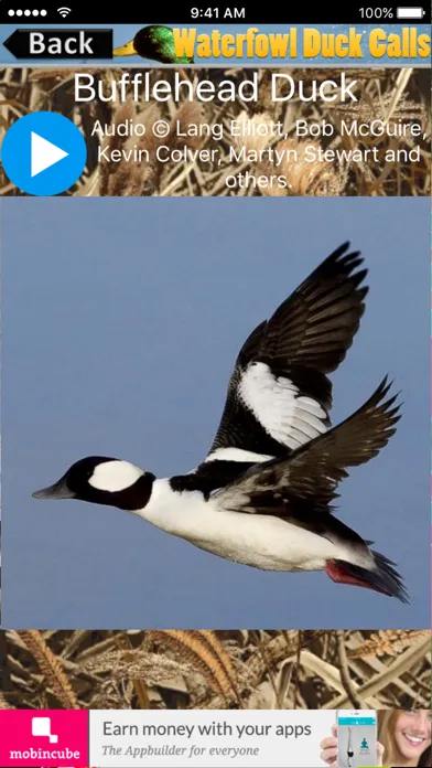 Waterfowl Duck Calls Screenshots