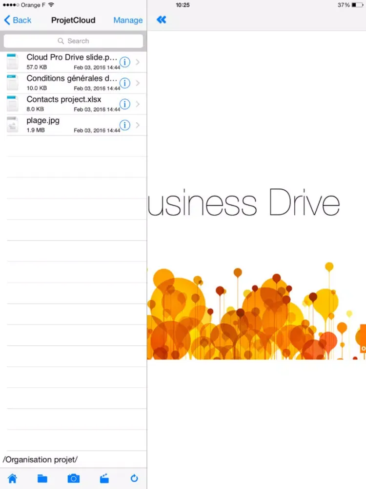 Capturas de tela do Business Drive iPad 