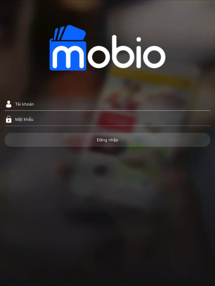 Tangkapan layar Mobio Partner (Cho Đối Tác) iPad 