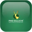 Pind Balluchi Delight Club