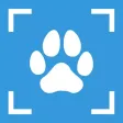 Dog Breed Identifier - PupDex
