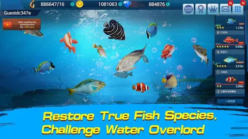 Fishing Championship Screenshots