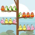 Bird Sort Quest