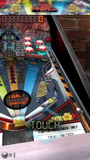 ภาพหน้าจอของ Pinball King