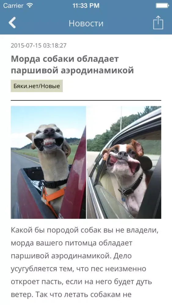 Фото приколы - Прикольные картинки и шутки スクリーンショット