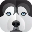 Dogs Breeds.