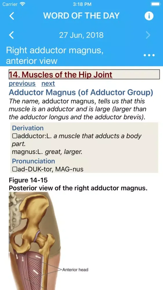 Muscular System Manual應用截圖