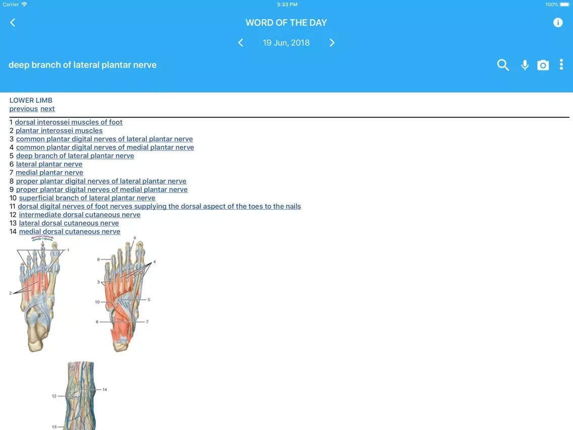 Pocket Atlas of Anatomy iPad 應用截圖