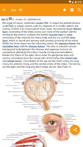 ภาพหน้าจอของ Dorland's Medical Dictionary