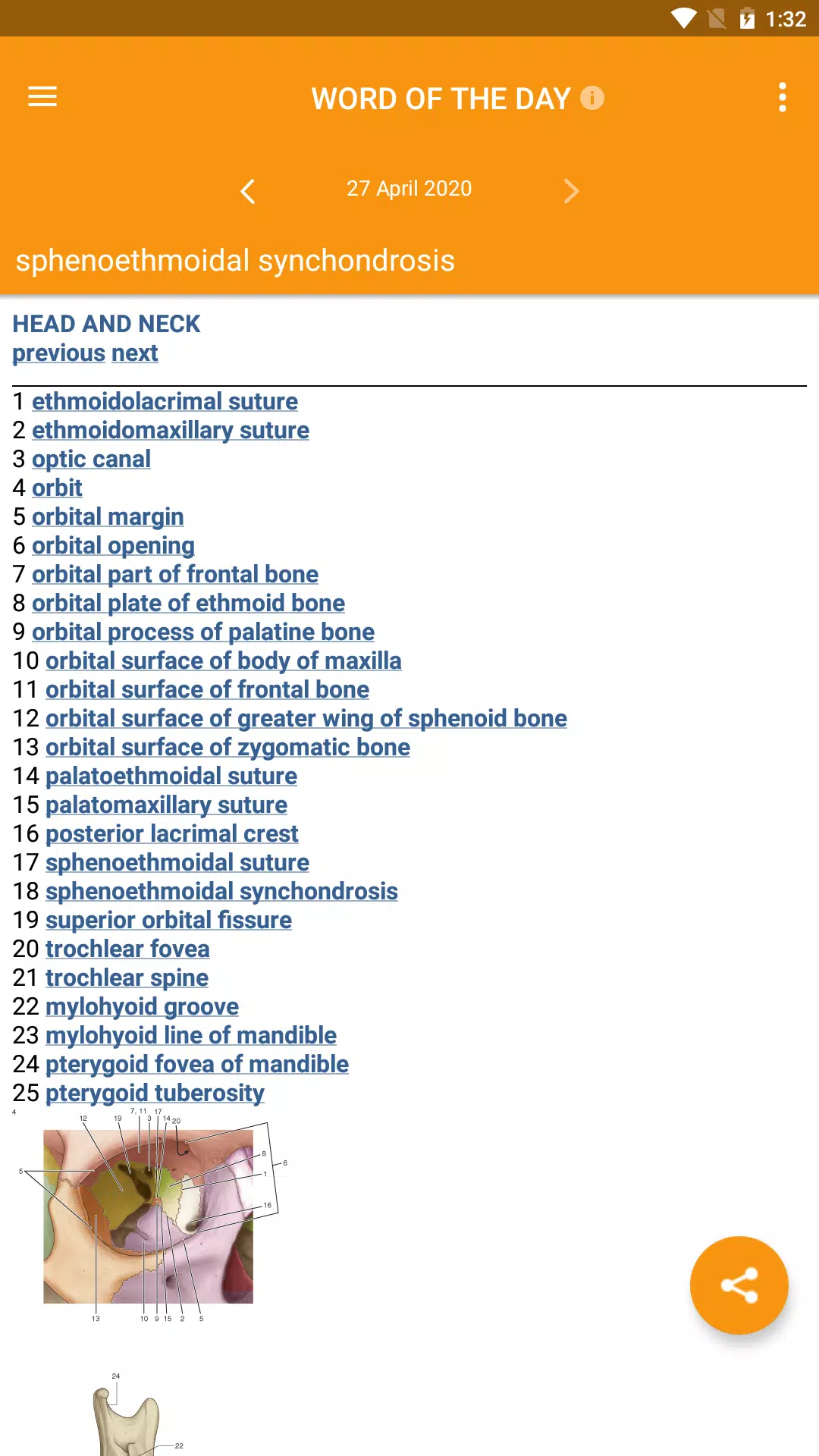 Gray's Pocket Atlas of Anatomy سکرین شاٹس