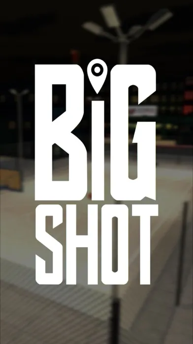 Big Shot Basketball应用截图