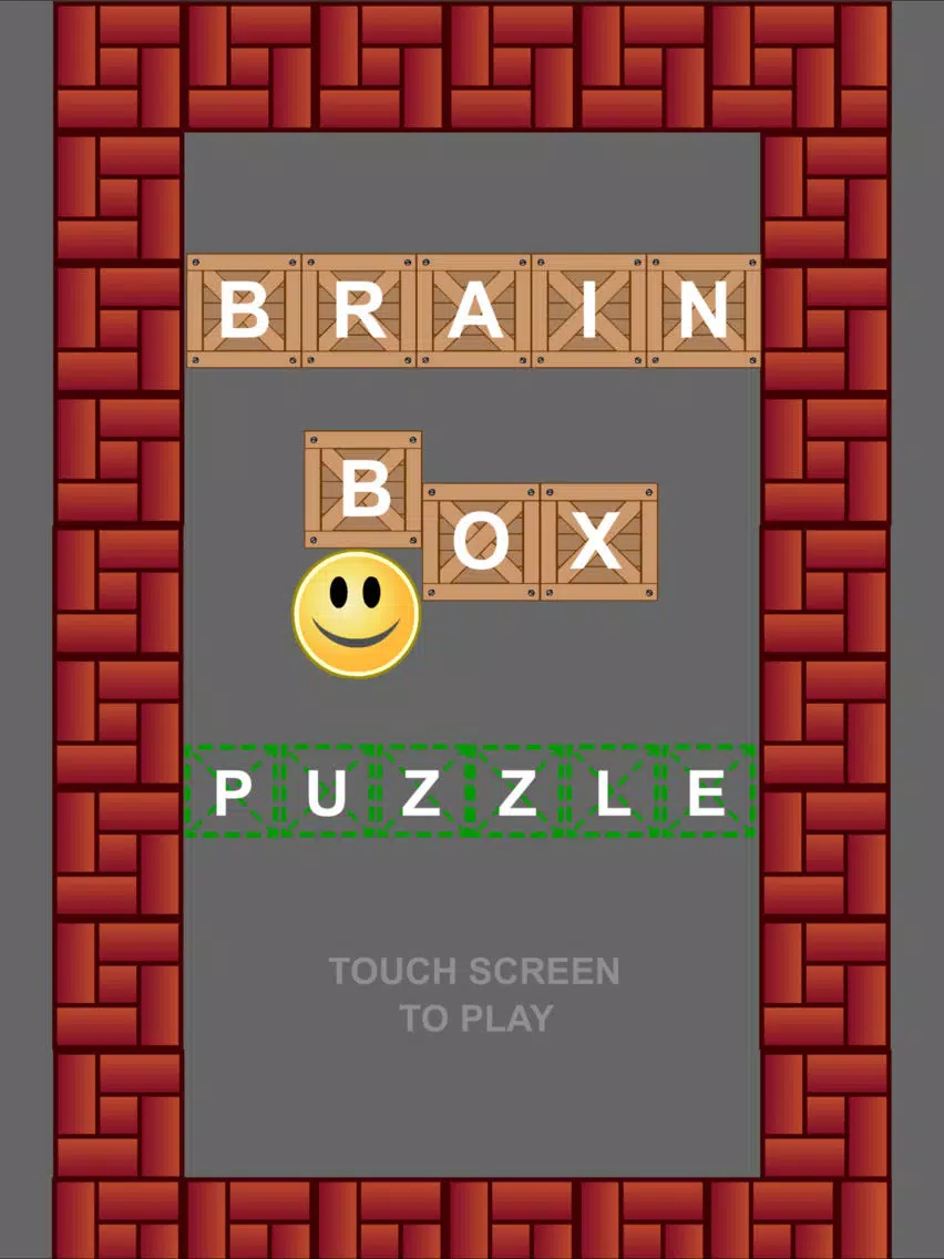 Brain Box Puzzle iPad  스크린샷