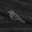 Mockingbird Exchange Mockingbird Exchange