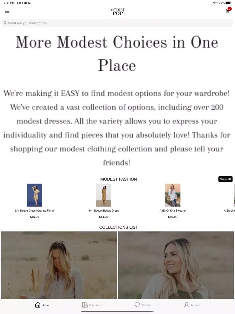 Zrzuty ekranu Modest Pop iPad 