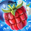 Forest Fruits Crush with tasty candy & sweet sugar