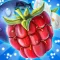 Forest Fruits Crush with tasty candy & sweet sugar