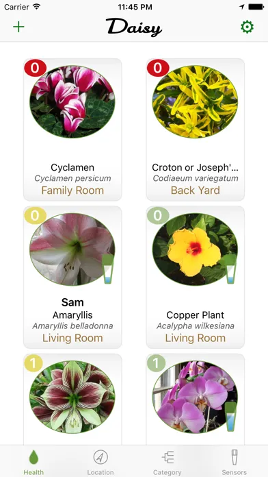 Tangkapan layar Daisy Sensor - Bluetooth Plant Soil Moisture