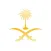 مجالس عنيزة