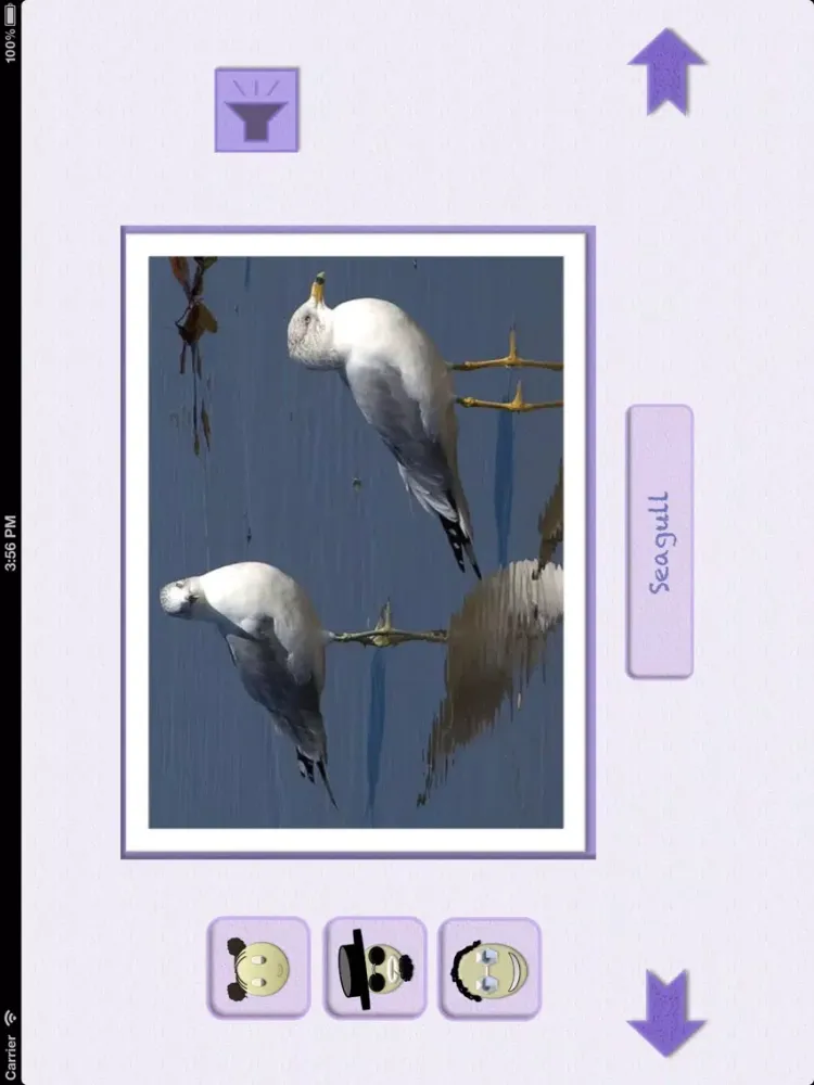 Capturas de tela do Animal picture book with sounds for kids iPad 