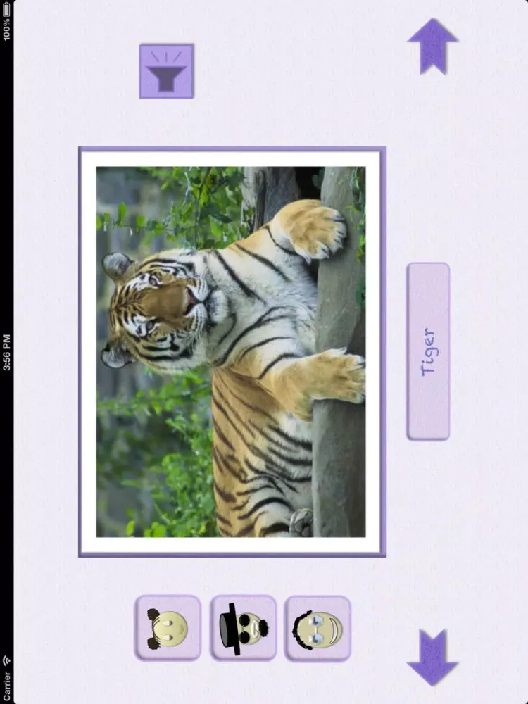 Capturas de tela do Animal picture book with sounds for kids iPad 