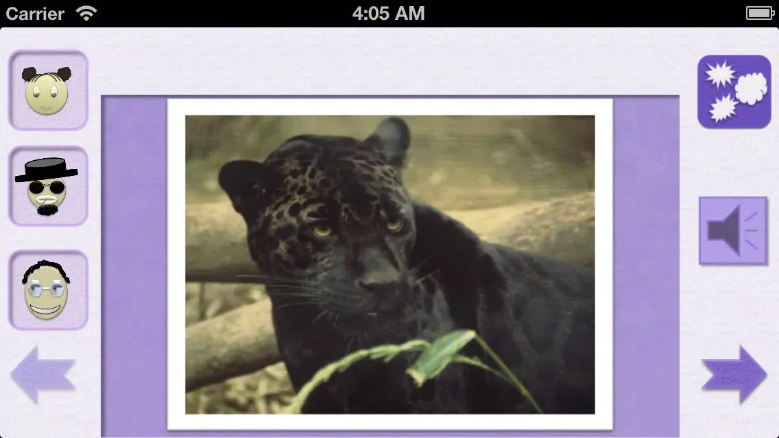 Capturas de tela do Animal picture book with sounds for kids