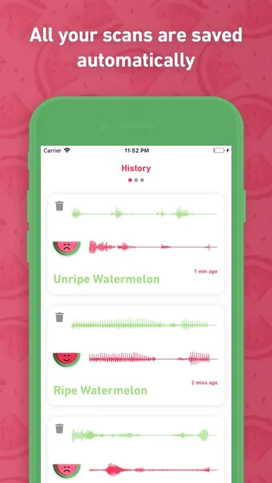 Melony: Ripeness Detector應用截圖