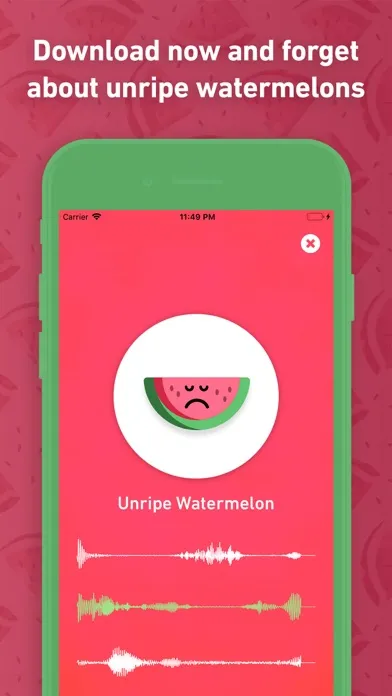Melony: Ripeness Detector應用截圖