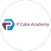 P CUBE Academy