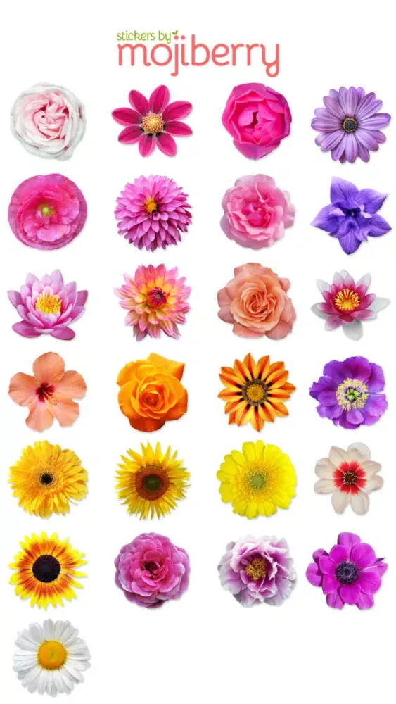 ภาพหน้าจอของ Flower Bouquet Stickers by Mojiberry