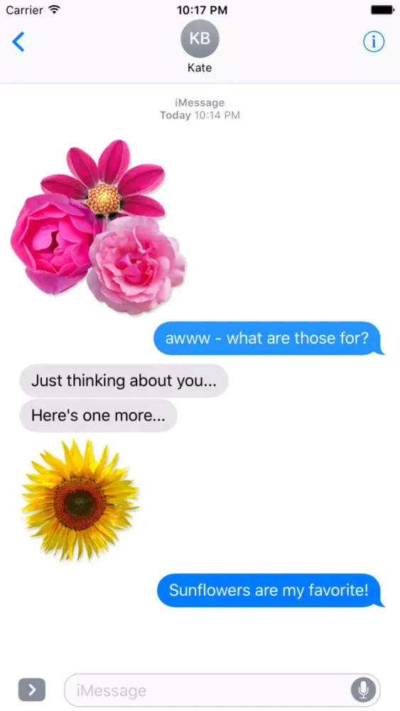 ภาพหน้าจอของ Flower Bouquet Stickers by Mojiberry