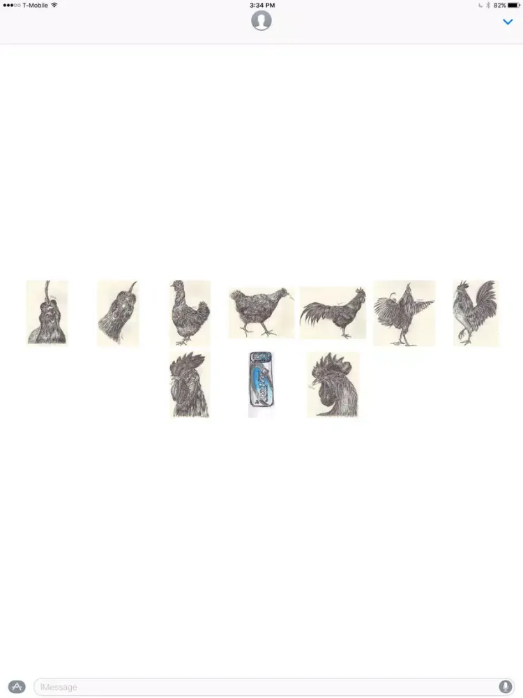 Ballpen Handsome Chickens stickers for iMessage iPad 应用截图