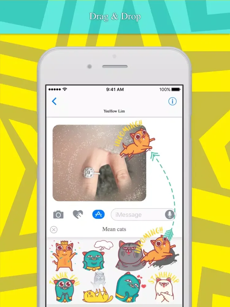 Mean cats stickers by Ehow Lim iPad  Screenshots