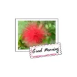Wild Flowers stickers by wenpei Wild Flowers stickers by wenpei