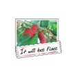 Fruit Photo Greeting Card stickers by wenpei Fruit Photo Greeting Card stickers by wenpei