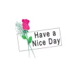 Flowers and Greeting Card Flowers and Greeting Card