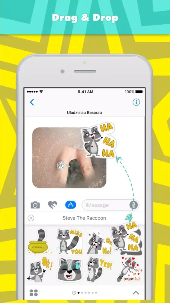 Captures d'écran de Steve The Raccoon stickers by Uladzislau Besarab