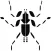 Insect stickers by éric Palliet