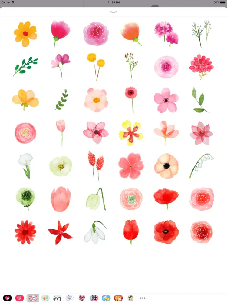 Watercolor Spring Flower Party iPad 应用截图