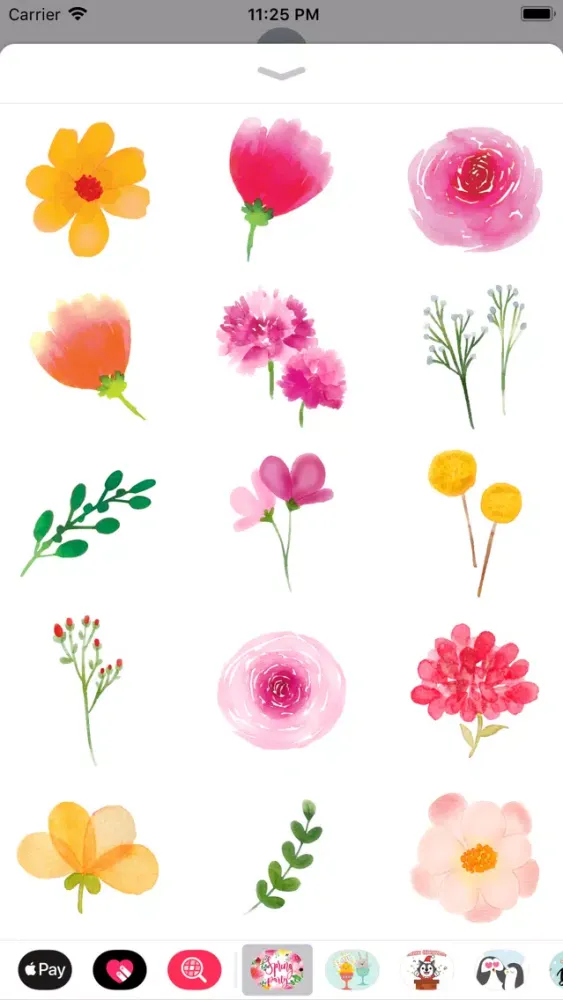 Watercolor Spring Flower Party应用截图