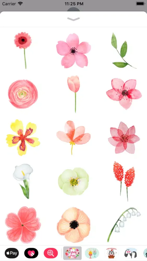 Watercolor Spring Flower Party应用截图