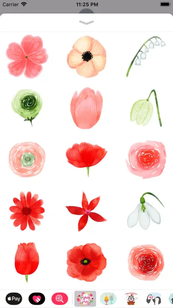 Watercolor Spring Flower Party应用截图