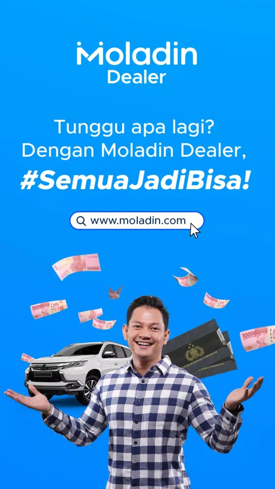 Ảnh chụp màn hình của Moladin Dealer