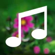 MYin Music, nice Chinese songs MYin Music, nice Chinese songs