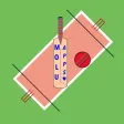 Cricket Fever Challenge: Arcade Timekiller Cricket Fever Challenge: Arcade Timekiller