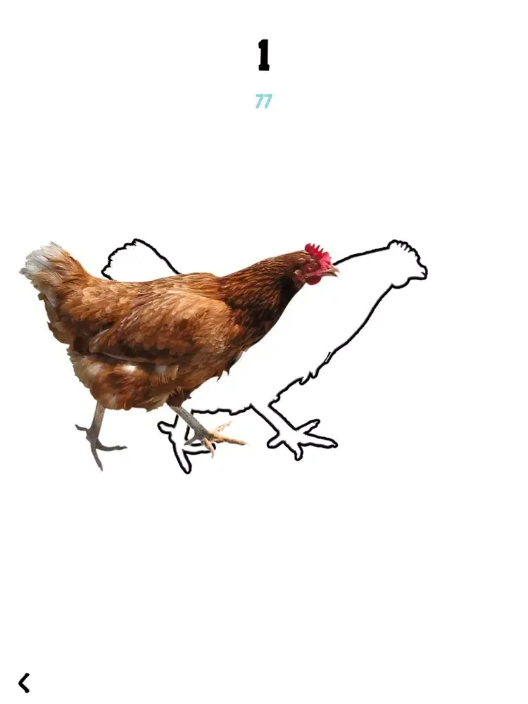 Screenshot di Hold the Chicken iPad 