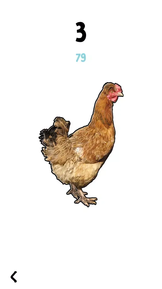 Screenshot di Hold the Chicken