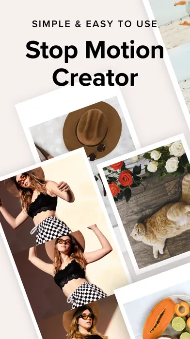GIF Maker by Momento Ekran Görüntüleri
